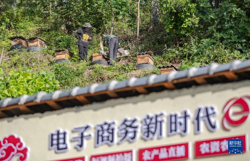 新甫京娱乐场官网登录